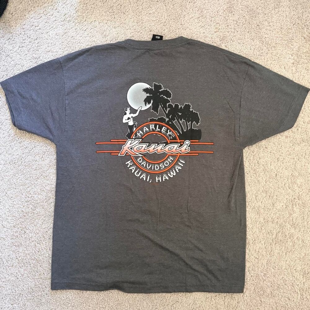 Harley Davidson Men's Gray T-shirt